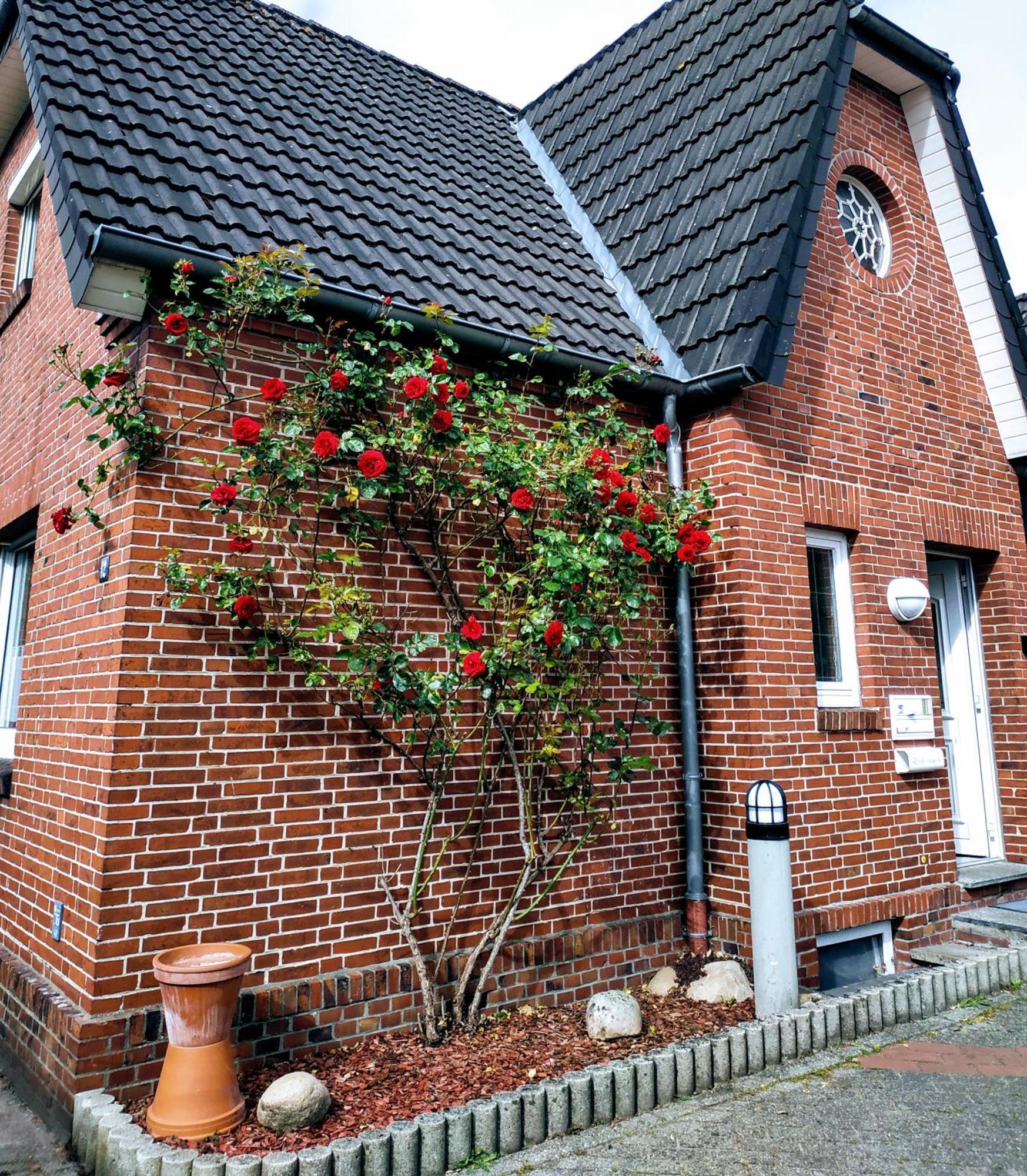 Suedwind Villa Papenburg-Obenede Rum bild