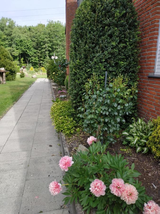 Suedwind Villa Papenburg-Obenede Exteriör bild